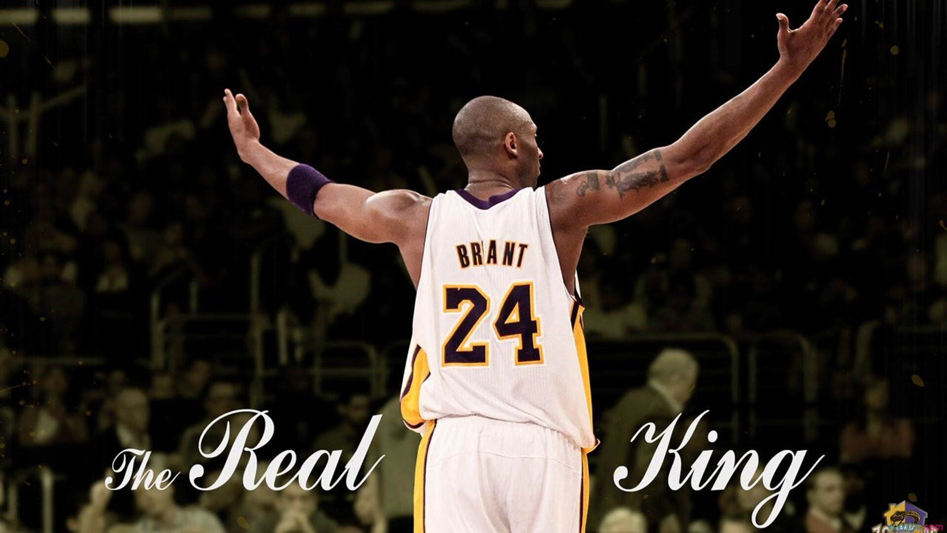 马克西独舞天山,辽宁铁骑破新疆不败金身